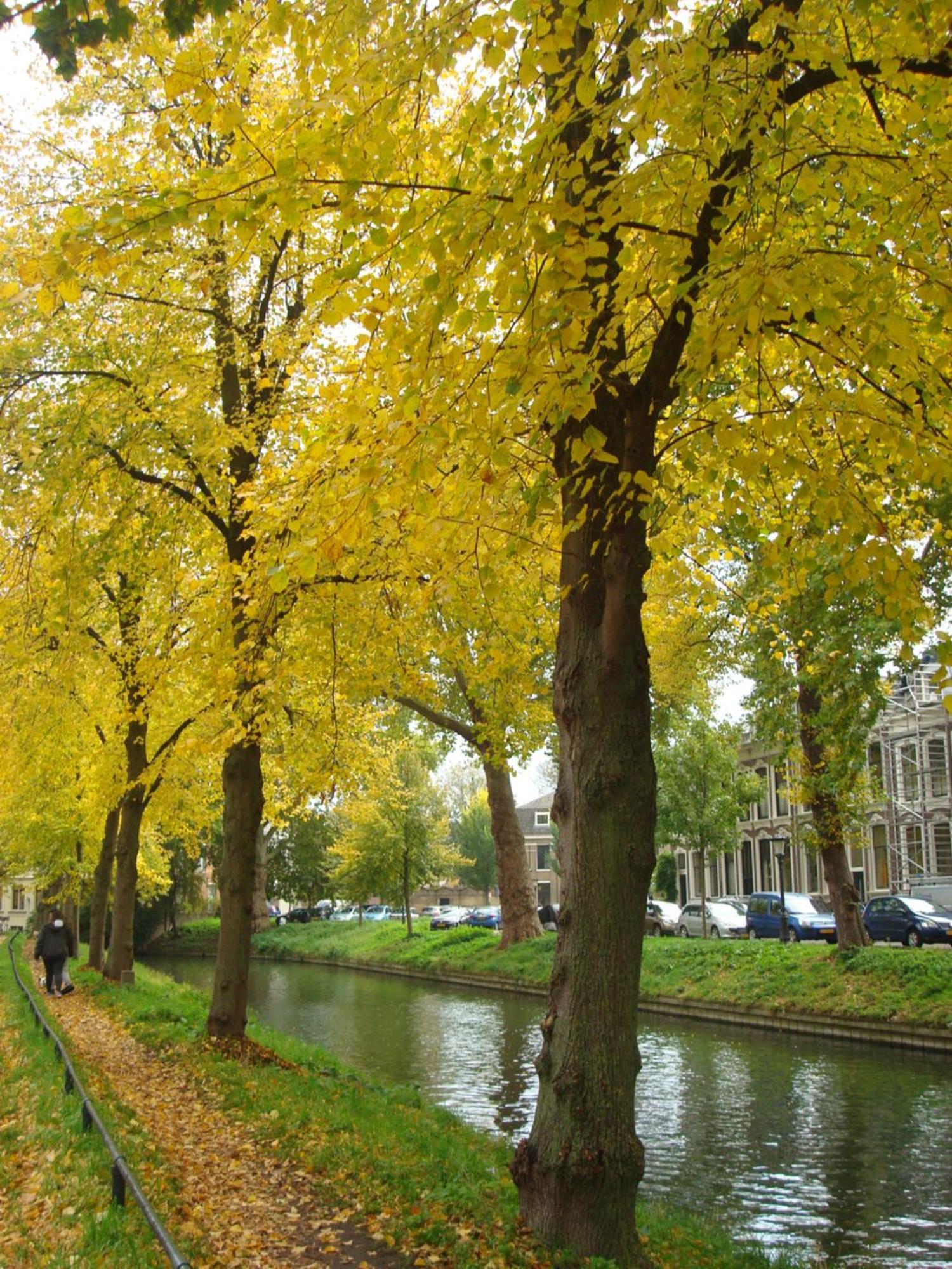 Historic Canal House In Green Residential Area Hotel Utrecht Exterior photo